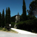 tenuta-Walter