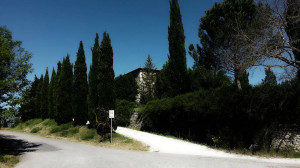 tenuta-Walter